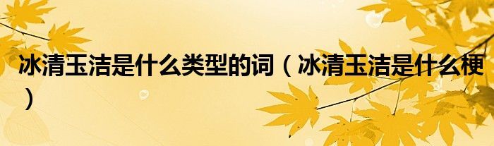 冰清玉洁是什么类型的词(冰清玉洁是什么梗)