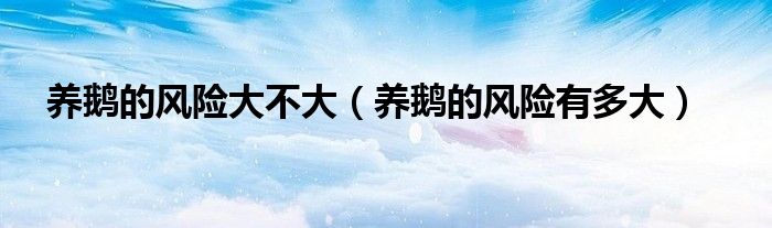 养鹅的风险大不大(养鹅的风险有多大)