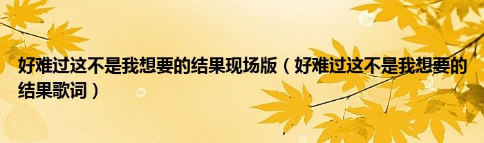 好难过这不是我想要的结果现场版(好难过这不是我想要的结果歌词)