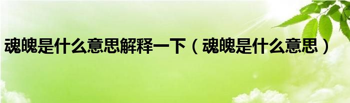魂魄是什么意思解释一下(魂魄是什么意思)
