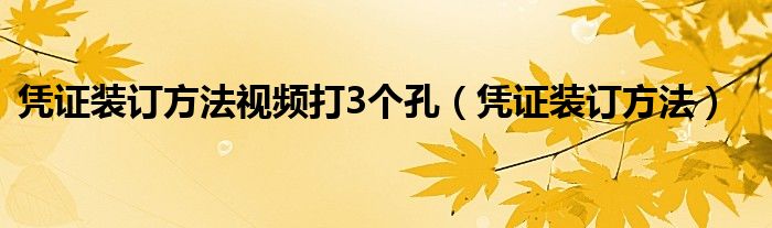凭证装订方法视频打3个孔(凭证装订方法)