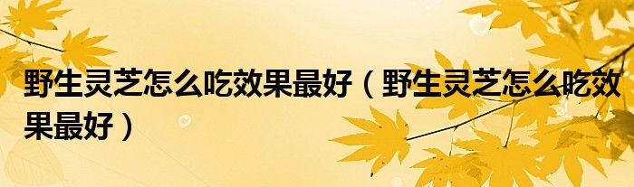 野生灵芝怎么吃效果最好(野生灵芝怎么吃效果最好)