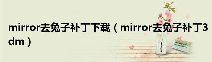 mirror去兔子补丁下载(mirror去兔子补丁3dm)