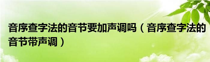 音序查字法的音节要加声调吗(音序查字法的音节带声调)