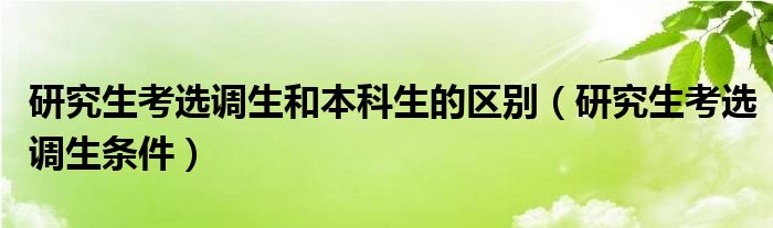 研究生考选调生和本科生的区别(研究生考选调生条件)