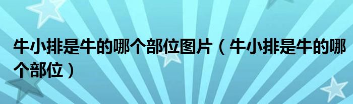 牛小排是牛的哪个部位图片(牛小排是牛的哪个部位)