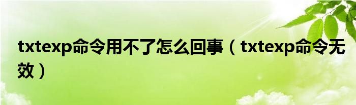 txtexp命令用不了怎么回事(txtexp命令无效)