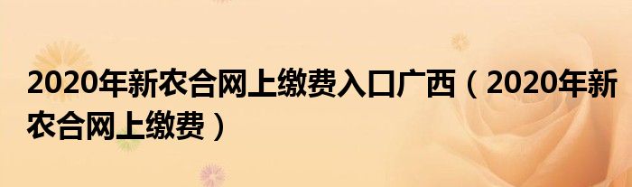 2020年新农合网上缴费入口广西(2020年新农合网上缴费)