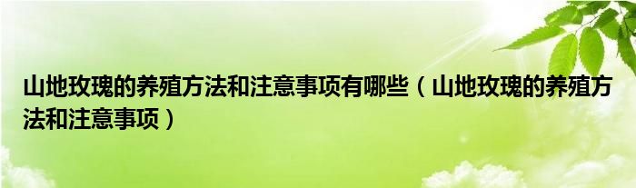 山地玫瑰的养殖方法和注意事项有哪些(山地玫瑰的养殖方法和注意事项)