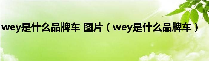 wey是什么品牌车 图片(wey是什么品牌车)
