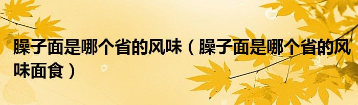 臊子面是哪个省的风味(臊子面是哪个省的风味面食)