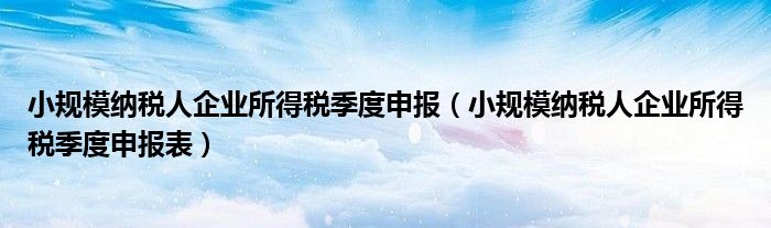 小规模纳税人企业所得税季度申报(小规模纳税人企业所得税季度申报表)