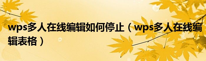 wps多人在线编辑如何停止(wps多人在线编辑表格)