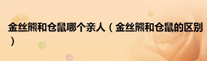 金丝熊和仓鼠哪个亲人(金丝熊和仓鼠的区别)