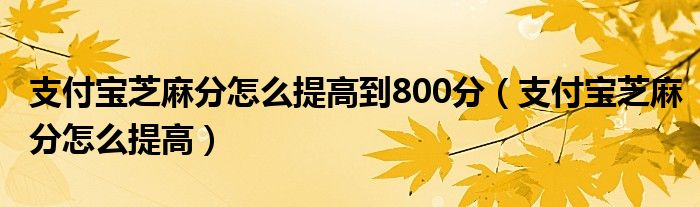 支付宝芝麻分怎么提高到800分(支付宝芝麻分怎么提高)