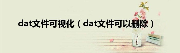 dat文件可视化(dat文件可以删除)