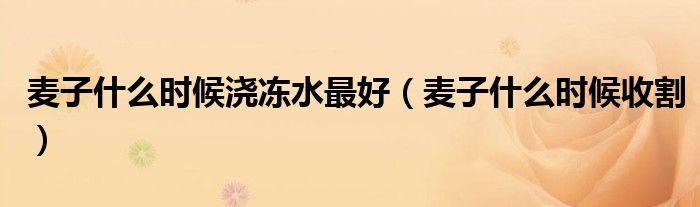 麦子什么时候浇冻水最好(麦子什么时候收割)