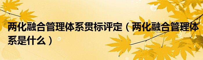 两化融合管理体系贯标评定(两化融合管理体系是什么)