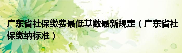 广东省社保缴费最低基数最新规定(广东省社保缴纳标准)