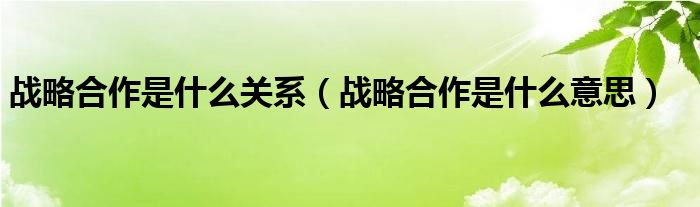 战略合作是什么关系(战略合作是什么意思)