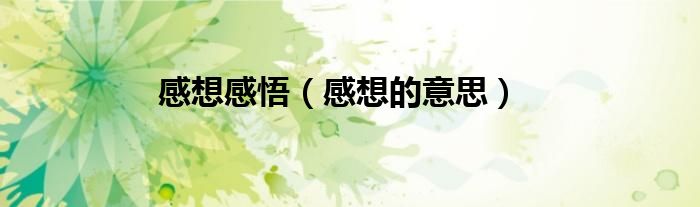 感想感悟（感想的意思）