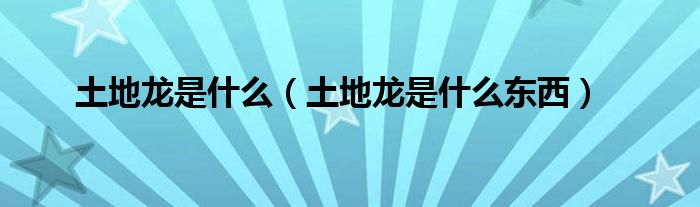 土地龙是什么(土地龙是什么东西)