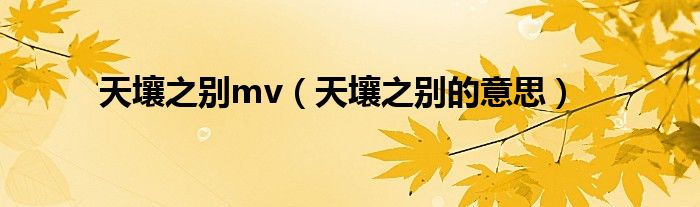 天壤之别mv(天壤之别的意思)