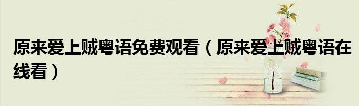 原来爱上贼粤语免费观看(原来爱上贼粤语在线看)