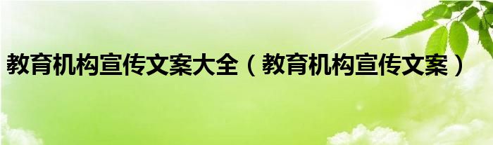 教育机构宣传文案大全(教育机构宣传文案)
