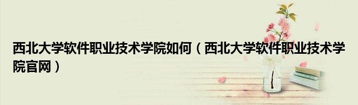 西北大学软件职业技术学院如何(西北大学软件职业技术学院官网)