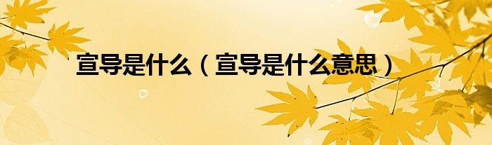宣导是什么(宣导是什么意思)