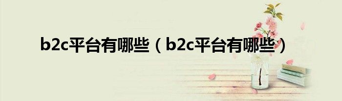 b2c平台有哪些(b2c平台有哪些)