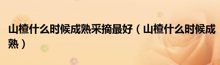 山楂什么时候成熟采摘最好（山楂什么时候成熟）