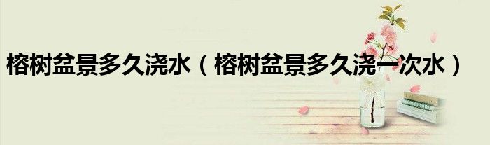 榕树盆景多久浇水(榕树盆景多久浇一次水)