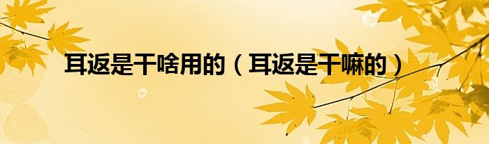 耳返是干啥用的(耳返是干嘛的)