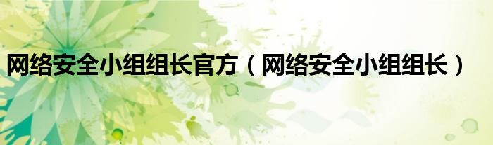 网络安全小组组长官方(网络安全小组组长)