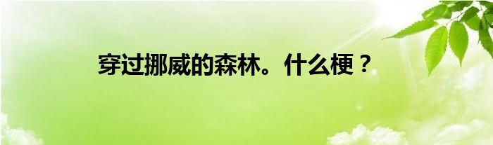 穿过挪威的森林。什么梗？