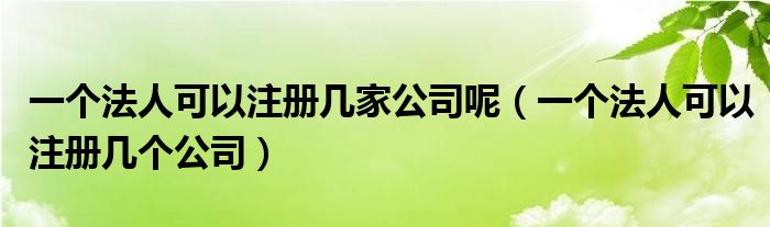 一个法人可以注册几家公司呢(一个法人可以注册几个公司)
