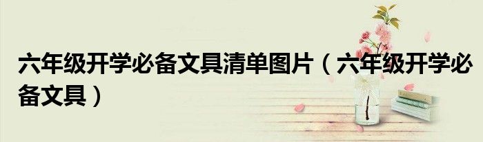 六年级开学必备文具清单图片(六年级开学必备文具)