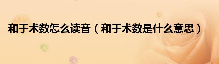 和于术数怎么读音(和于术数是什么意思)