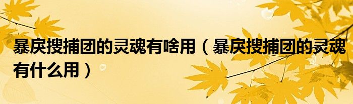 暴戾搜捕团的灵魂有啥用(暴戾搜捕团的灵魂有什么用)