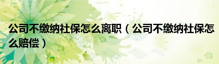 公司不缴纳社保怎么离职(公司不缴纳社保怎么赔偿)