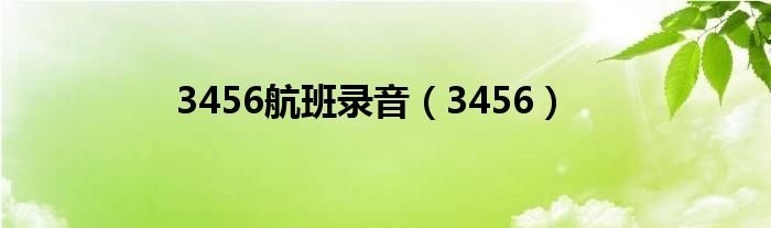 3456航班录音(3456)