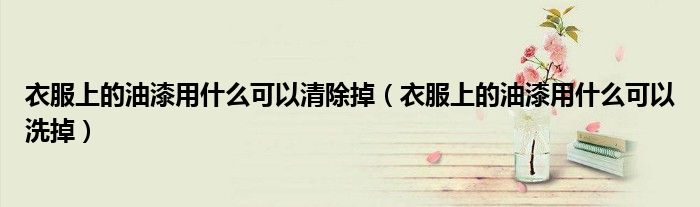 衣服上的油漆用什么可以清除掉(衣服上的油漆用什么可以洗掉)