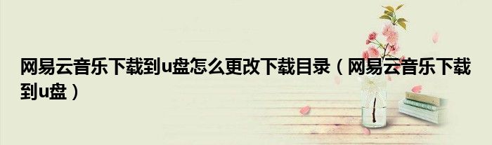 网易云音乐下载到u盘怎么更改下载目录(网易云音乐下载到u盘)