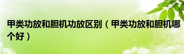 甲类功放和胆机功放区别(甲类功放和胆机哪个好)