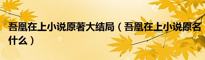 吾凰在上小说原著大结局(吾凰在上小说原名什么)