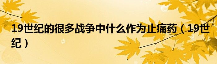 19世纪的很多战争中什么作为止痛药（19世纪）