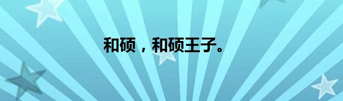 和硕，和硕王子。