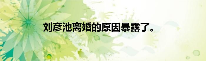 刘彦池离婚的原因暴露了。